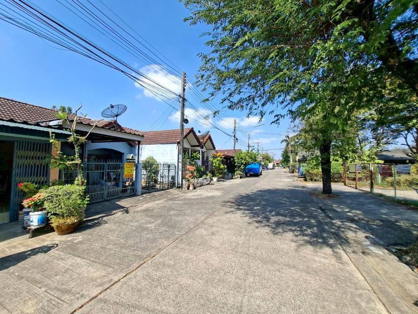 ขายบ้านชั้นเดียว ชุมชนร่มเย็น คลอง2 ลำลูกกา 3