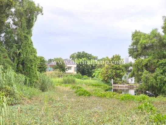 ที่ดินถมแล้ว หมู่บ้าน สวนเอก เลคปาร์ค ลําลูกกา ปทุมธานี 12