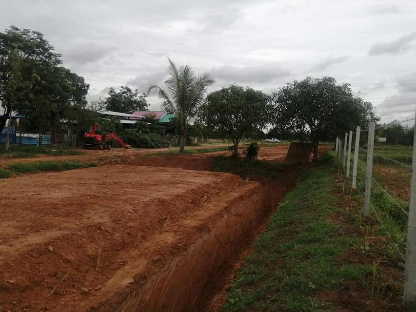 ขายที่สวนโคกหนองนา และบ้านสวน(เจ้าของขายเอง)ร้อนเงิน 7