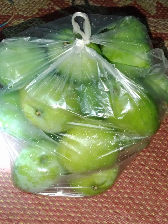 มะม่วงเปรี้ยวห้ากิโล