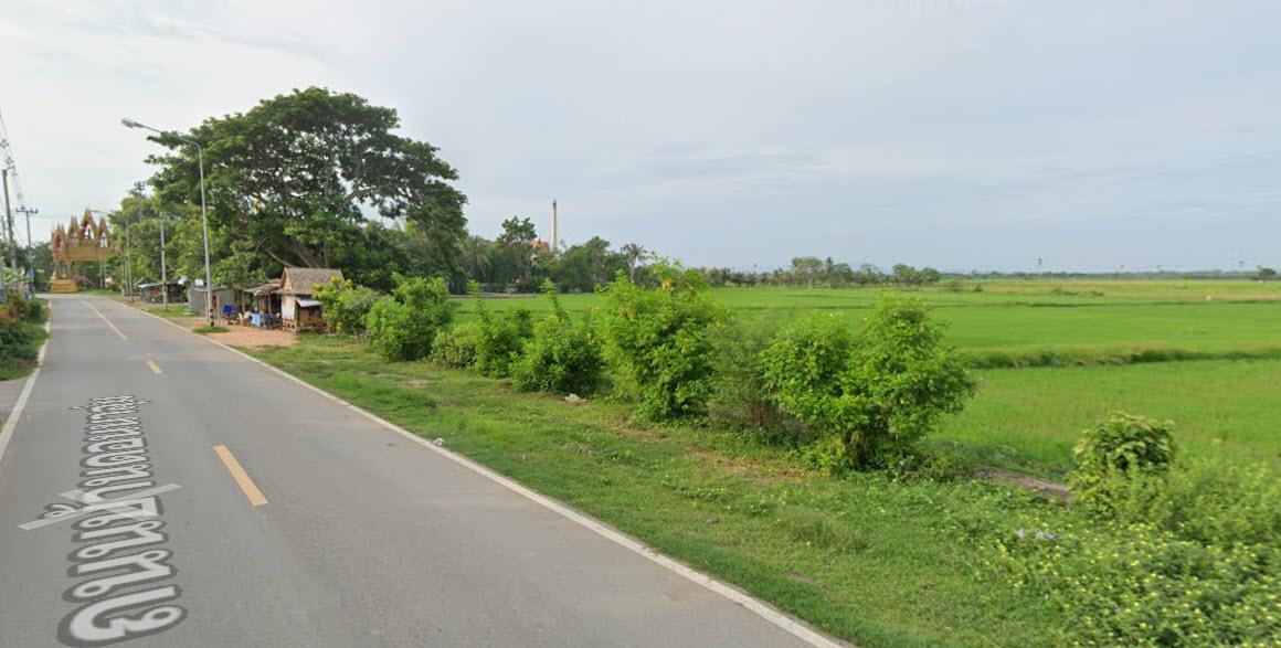 ขายที่ดิน 66 ไร่ ถนนบ้านดอนนาลุ่ม ตำบลหนองขนาน อำเภอเมืองเพชรบุรี จังหวัดเพชรบุรี 1