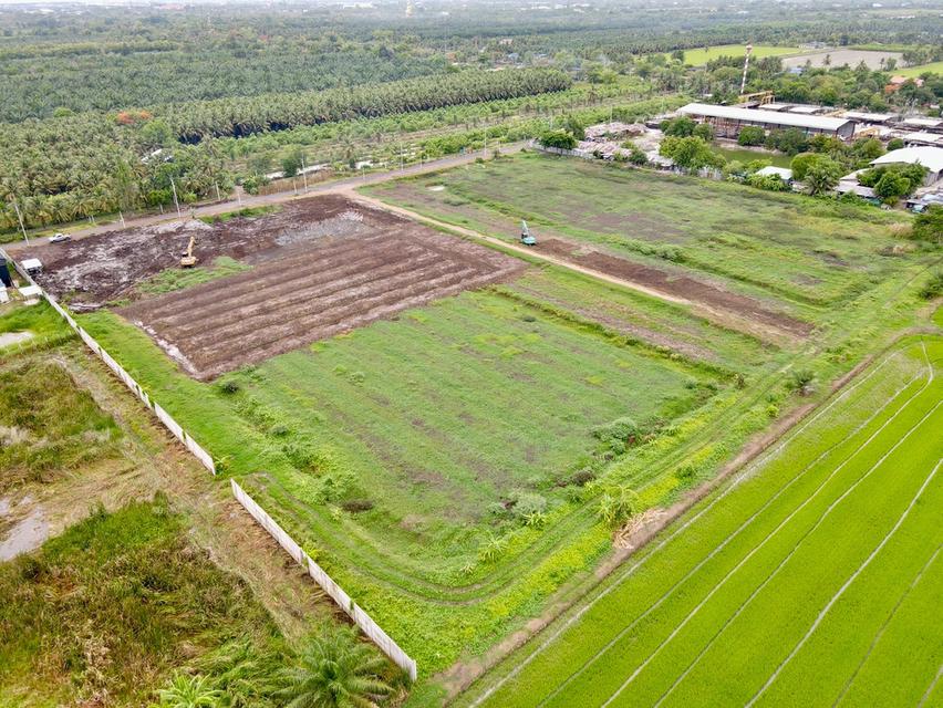 ที่ดินสวยทำเลดี ซ.พนารัตน์ ตำบล บึงบา อำเภอ หนองเสือ ปทุมธานี 9