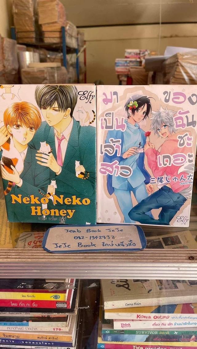 หนังสือการ์ตูน วาย BL เล่มเดียวจบ 8