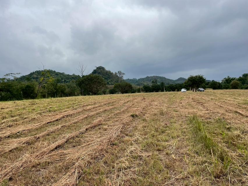 ขายที่ดินสวย วิวภูเขา เขาใหญ่ นครราชสีมา 5