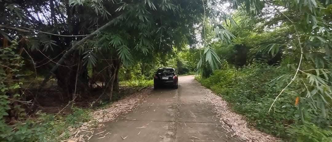 ที่โฉนด ขนาด110มีตรว ราคา280,000ห่าง7-11เพียง1โล  ไฟฟ้าถึงหน้ากว้างติดถนนคอนกรีต17เมตร ด้านในมีต้นไผ่ ขนุน,น้อยหน่า,มะม่วง,กล้วย ต้นสัก,ตะไคร้ 13