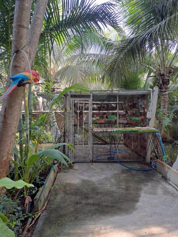 ขายบ้านเดี่ยว 1 ชั้น หมู่บ้านหนองสรวง อ.ศรีประจันต์ สุพรรณบุรี ใกล้โรงเรียน โรงพยาบาล ตลาด โทร 0869220218 19