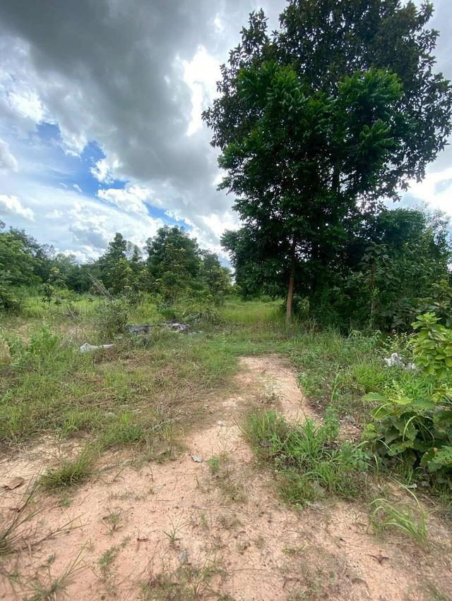 ขายที่ดิน เมืองพล จังหวัดขอนแก่น 9