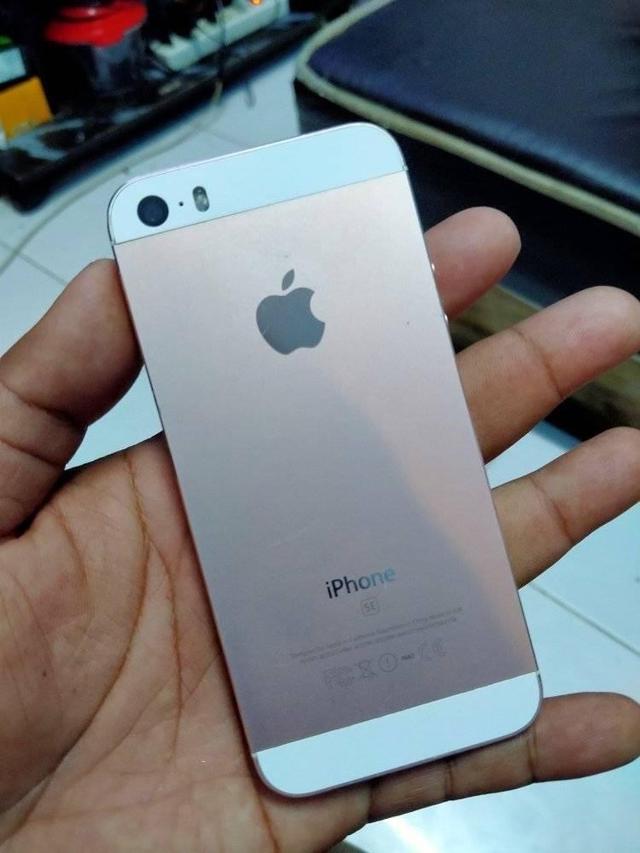 พร้อมปล่อย iPhone SE 3