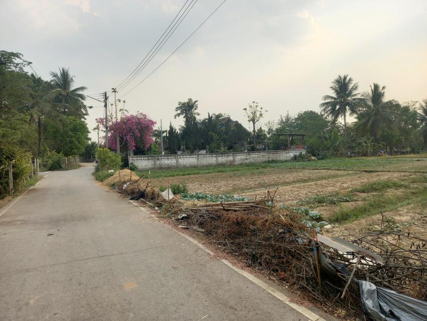 ที่ดินในตำบลบ้านแป้น อ.เมือง ลำพูน 5
