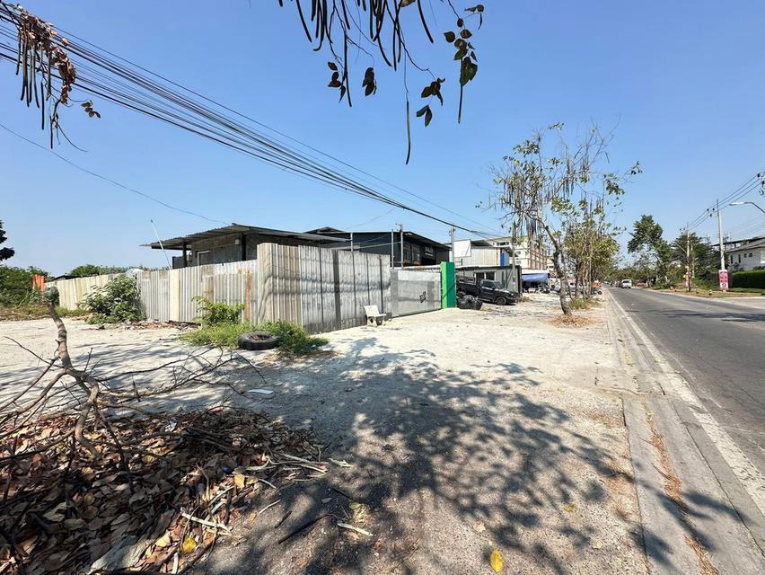 ที่ดิน ซ.รามอินทรา117 ติด ถ.เจริญพัฒนา 2
