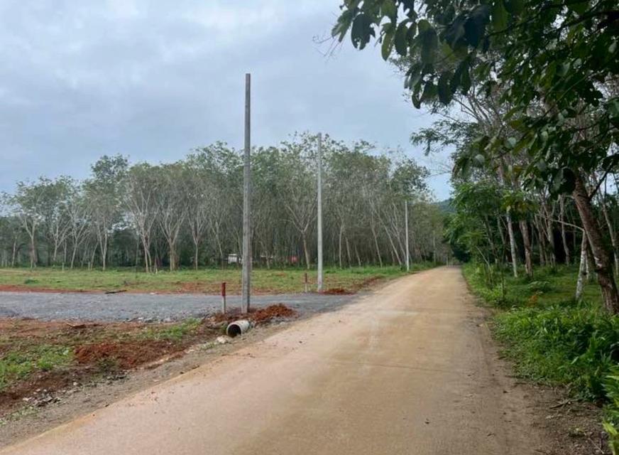 🏞️ ขายที่ดินแปลงสวย ราคาคุ้มค่า – เหลือเพียง 1 แปลงสุดท้าย!🥚ขนาด: 1 ไร่ 10 ตร.ว🏡ราคาเพียง 2,500,000 บาท 📍เอกสารสิทธิ์ โฉนดครุฑแดง 1