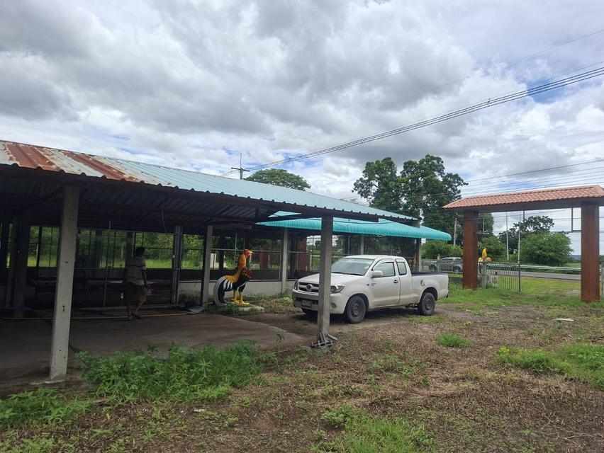 ขายที่ดินแปลงใหญ่ ติดถนน 4เลน สระบุรี-เพชรบูรณ์ 11