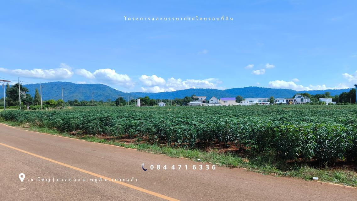 เขาใหญ่ | ปากช่อง โซนหมูสี *ด้านหลังติดเขา* ใกล้ MADAME VALLEY(มาดามแป้ง) เนื้อที่ 4-3-69 ไร่ ราคา 3.5 ล้าน/ไร่ 10