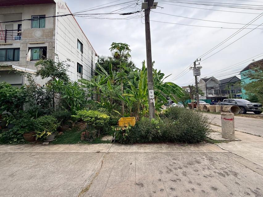 ขายด่วนที่ดิน 49 ตรว ติดถนนสาธารณะ 3 ด้าน ถมแล้ว ซ.พัฒนาการ 69 แยก 3-2 ประเวศ กทม. 10
