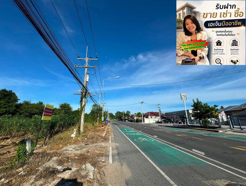 ขายที่ดินห้วยใหญ่ บางละมุง ชลบุรี เนื้อที่ 1,173 ตร.วา ทำเลศักยภาพ เพียงแค่ 3 นาที ถึงถนนใหญ่สุขุมวิท 3