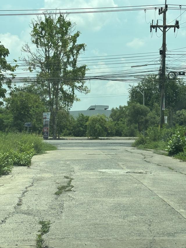 ที่ดินเปล่ายังไม่ได้ถม 2