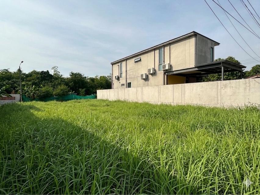 ขายที่ดินเขตสายไหม ขนาด 100 ตรว หน้ากว้าง 15 ×26 เมตร ติดถนนสาธารณะ ซอยสายไหม 16 และ ซอยสายไหม 18 (ถมที่ดินให้แล้วพร้อมปลูกสร้างที่อยู่อาศัยได้เลย) 1