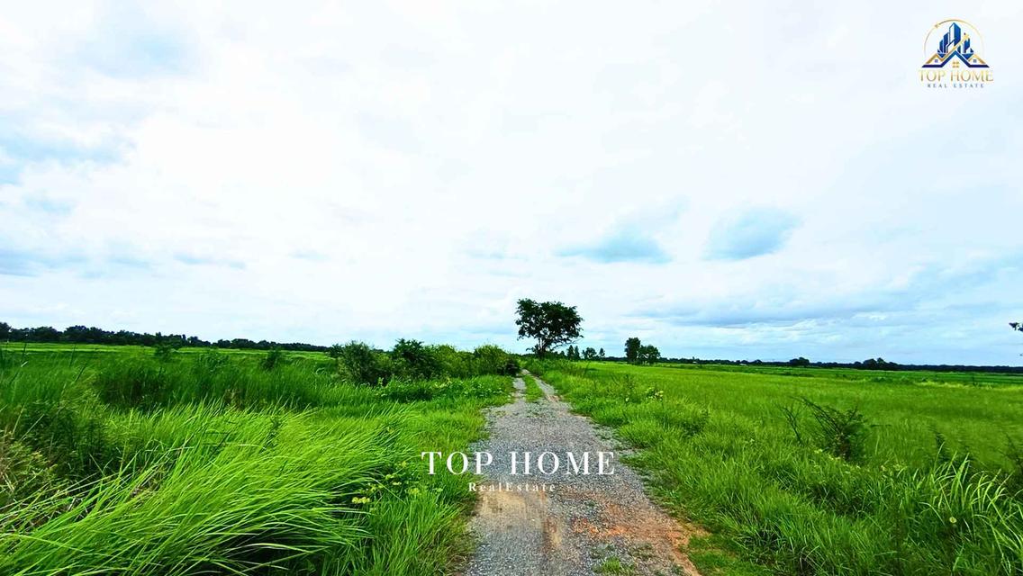 ขายด่วน! ที่ดินเปล่า 200 ตร.ว. องครักษ์ 24 — ราคาเพียง 590,000 บาท! 🔥 🌿 แปลงสวย ขนาดกำลังดี เหมาะทำสวน–เพาะปลูก | โฉนดเดียว 7