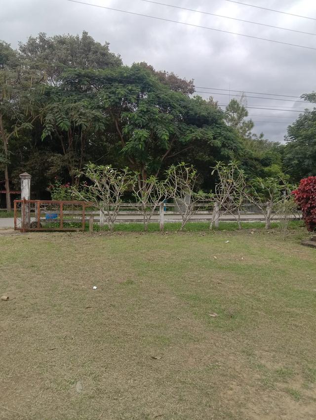 บ้านพร้อมที่ดิน คลองสอง วังน้ำเขียว