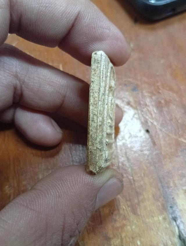 สมเด็จฯ 4