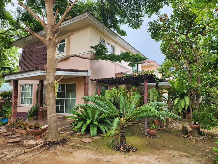 บ้านเดี่ยว มบ.ชัยพฤกษ์ เทพารักษ์ 5