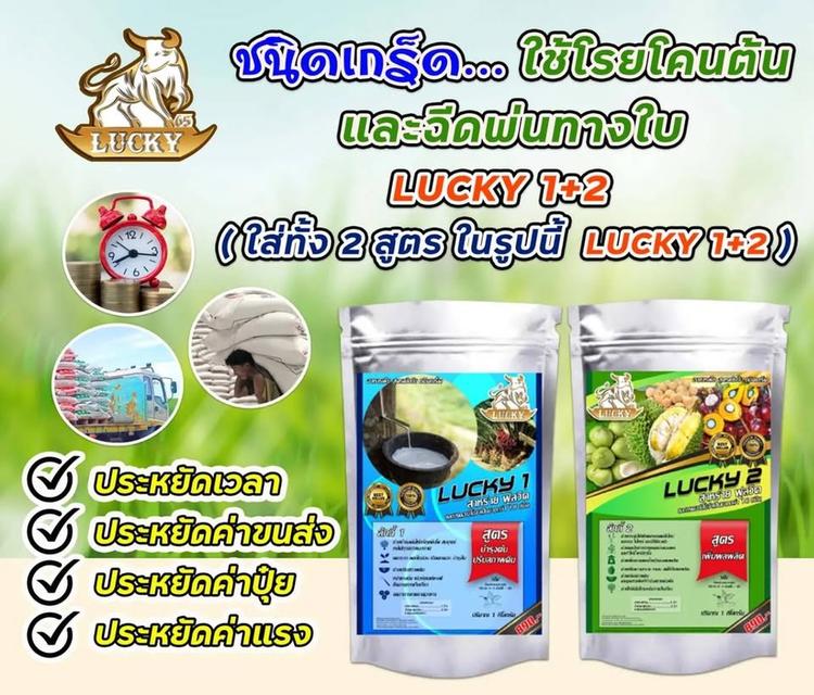 ลักกี้ นวัตกรรมอาหารพืช 