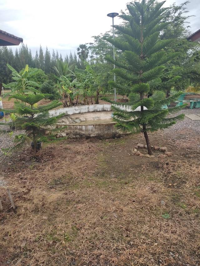 บ้าน 2 หลังบนที่ดิน 1 ไร่ 8