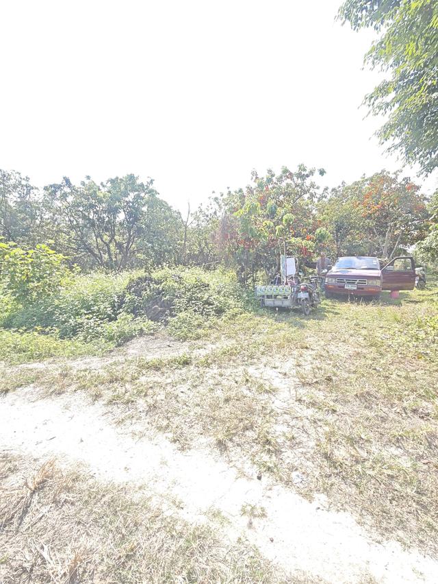 ที่ดิน  อ. บ้านธิ จ. ลำพูน 4