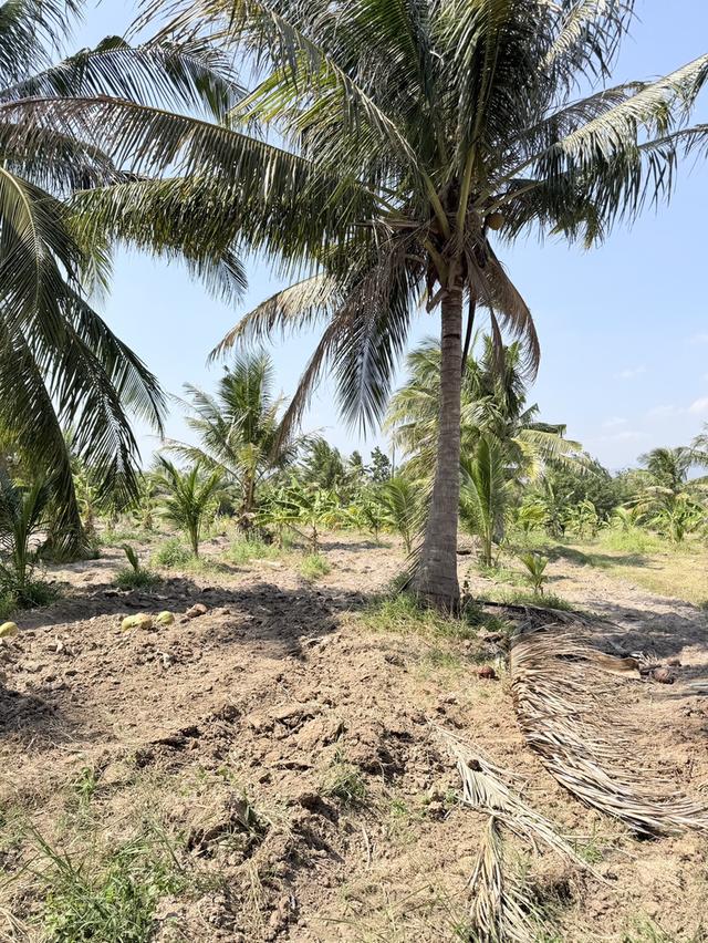 mini product image 2