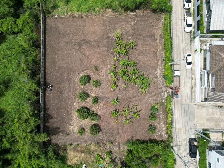 ขายที่ดินแปลงสวย 2 แปลง ถมแล้ว ขนาดเริ่มต้น 151 ตร.ว. ซอยวัดสลักเหนือ ปากเกร็ด ใกล้สถานีรถไฟฟ้าอิมแพค เมืองทองธานี 6