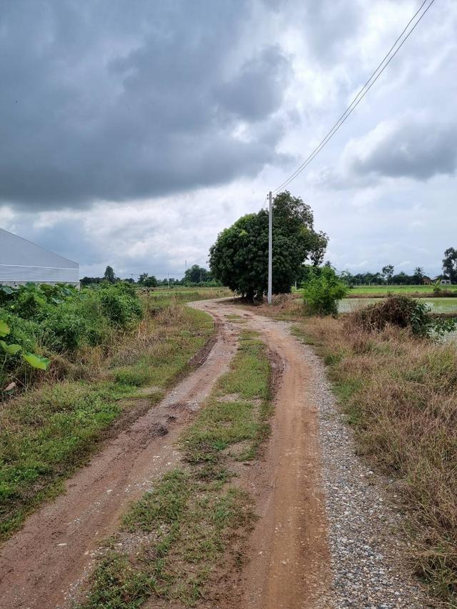 ขายที่ดิน 9.2 ไร่ พิษณุโลก ในเมือง 6