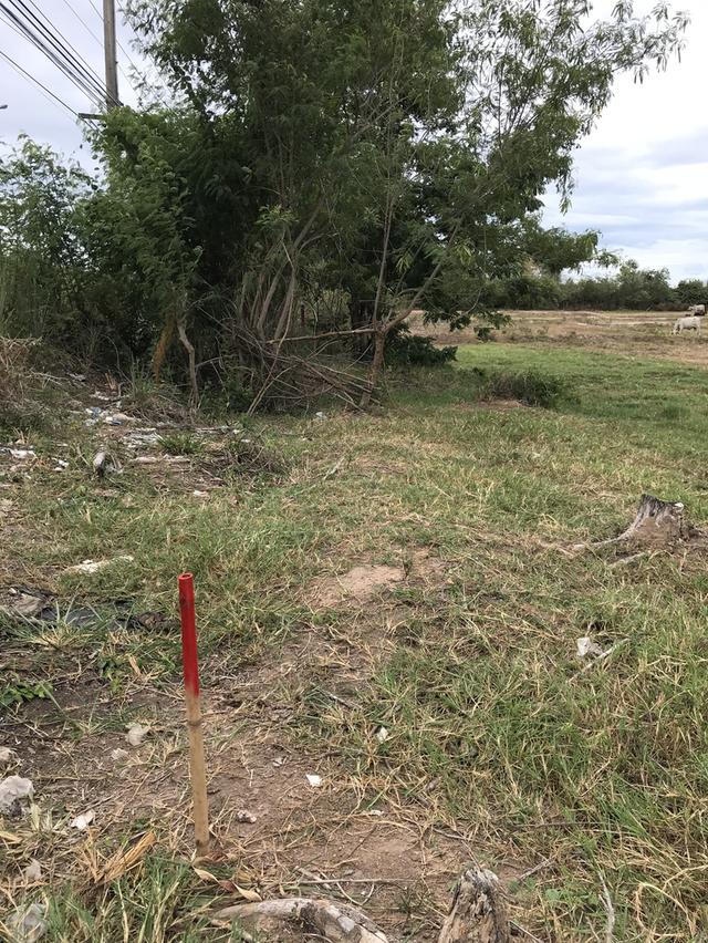 ขายที่ดินแปลงสวย ทำเลดี ติดถนนใหญ่ ตรงข้ามกับบริษัท ฟู่เซิง จำกัด อำเภอดอยหล่อ-จอมทองจังหวัเชียงใหม่ เนื้อที่ 1ไร่สวยรูปสี่เหลี่ยมหน้ากว้าง20เมตร 8