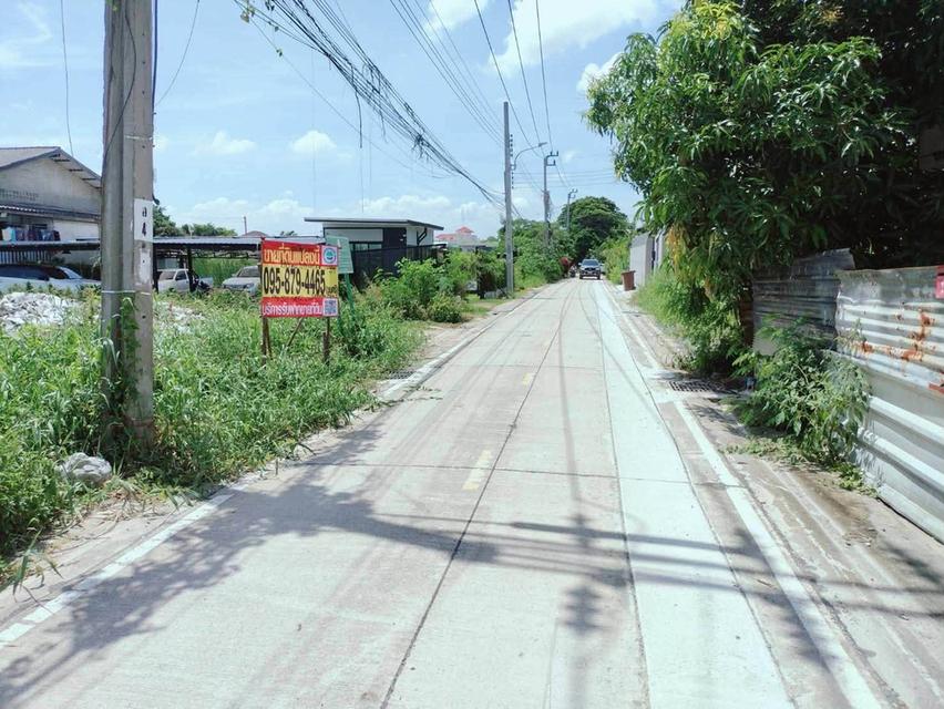 ขายด่วนที่ดิน 198 ตรว ติดถนนคอนกรีตสาธารณะ 2 ด้าน ซ.ลิขิตไก่ย่าง บางบัวทอง นนทบุรี 1