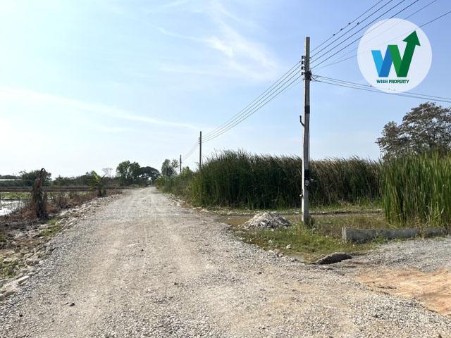 ขายที่ดินทรงสี่เหลี่ยมสวย 40x39 ม. พื้นที่ใช้สอยคุ้มค่าทุกตารางนิ้ว 4