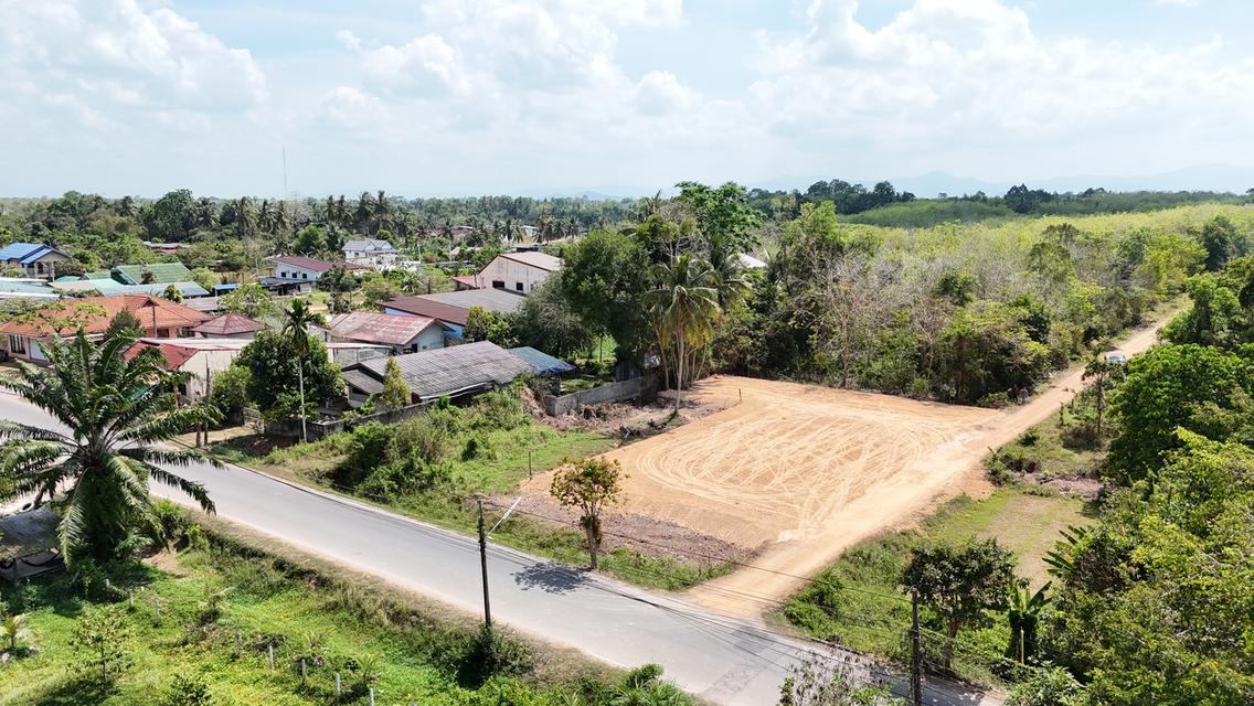 ที่ดินเปล่า 200 ตารางวา 2