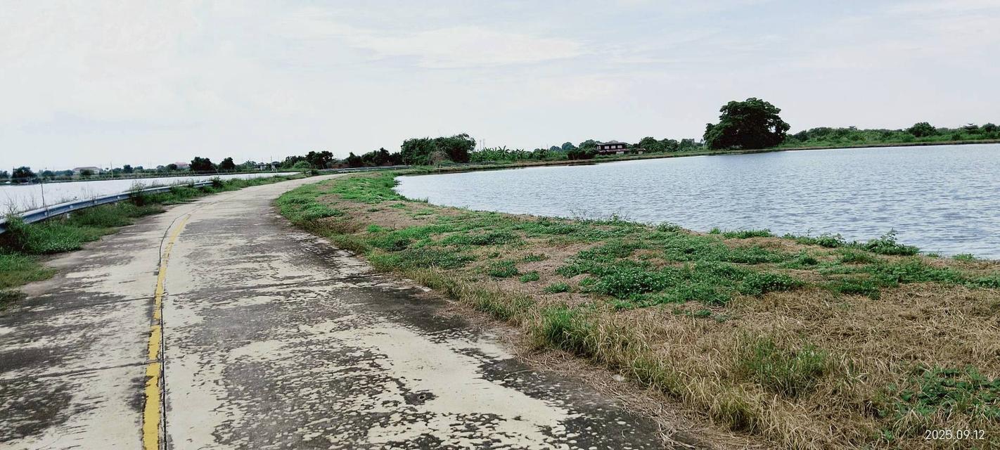 📢⛳ขายที่ดิน บางปลา (คลอง2) สมุทรปราการ ยังไม่ถม ⛳ 5