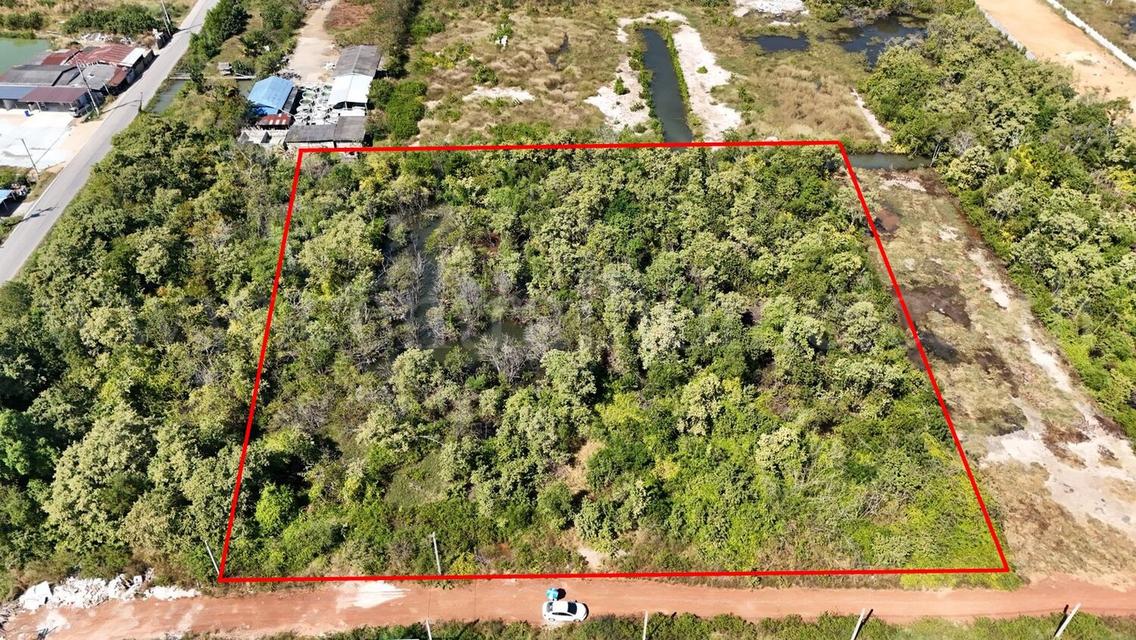 ที่ดินเปล่า 4 ไร่ แบ่งขายได้แปลงละ 1 ไร่ บางปะกง - ฉะเชิงเทรา ราคาถูก 4