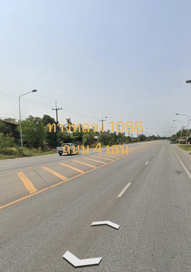 ที่ดินถมแล้ว จังหวัดพิษณุโลก ติดถนนหลวง 4 เลน 4