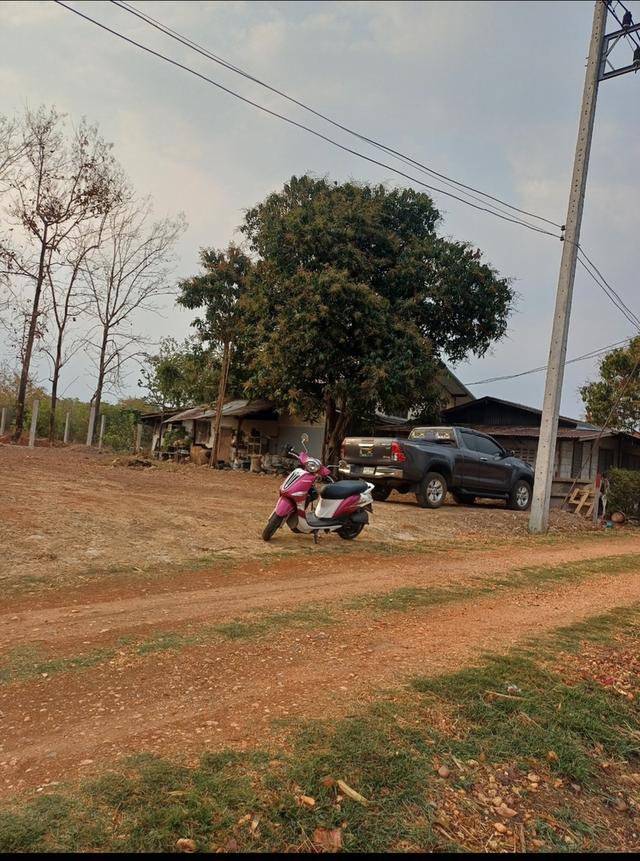 ที่ดินเปล่าถมแล้ว พร้อมปลูกสร้าง น้ำไฟครบจบ 5