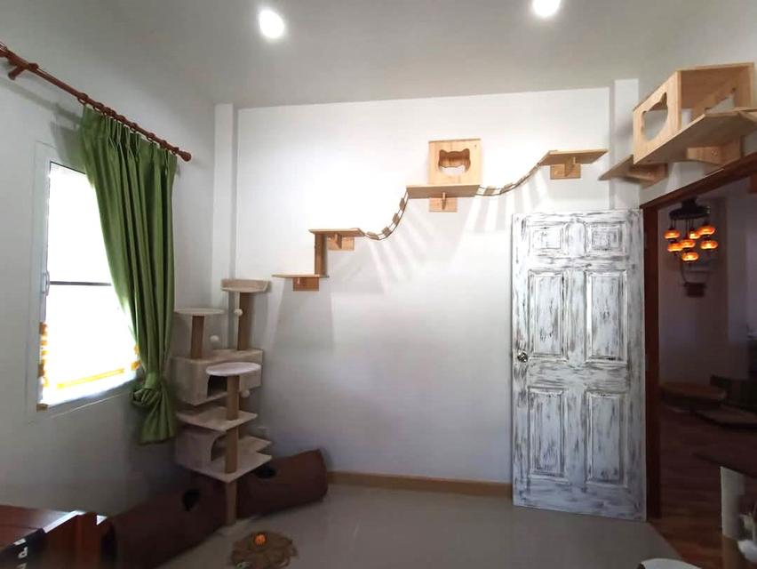 🏠 ให้เช่าบ้านเดี่ยวชั้นเดียว พื้นที่กว้าง ใกล้ รพ.ดารารัศมี 9