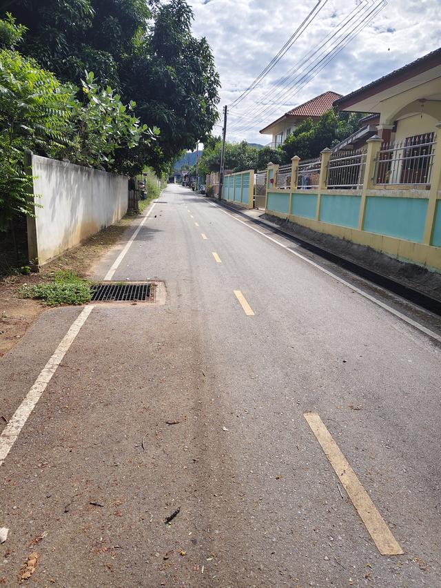 ขายที่ดินสัตหีบ 52 ตรว. ใกล้สุขุมวิท ราคาถูก 6