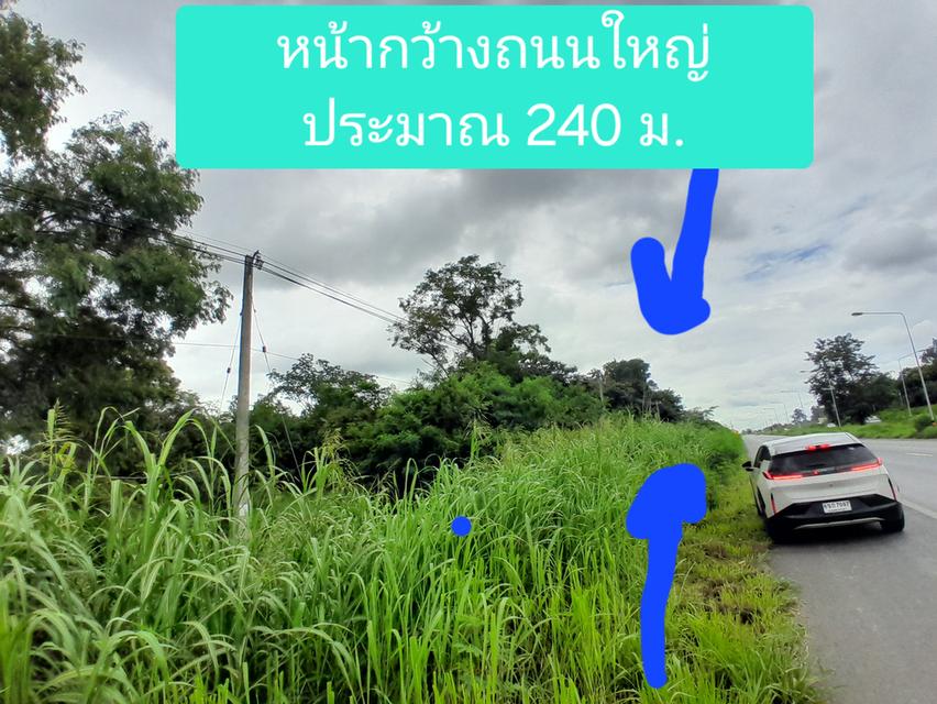 ที่ดินเปล่าติดถนนใหญ่ถ.เดชอุดม-โชคชัย หน้ากว้าง 250ม. 2