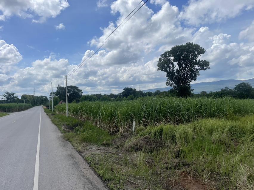 ที่ดินติดถนน เส้นบ้านไทรงามมุ่งหน้าอำเภอคอนสวรรค์ ที่ดินอยู่ในเขตอำเภอเมืองชัยภูมิ โทร 0939694146 8