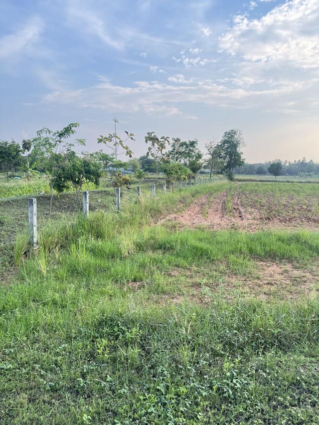 ที่ดินเปล่าพื้นที่ตำบลท่าพระ อำเภอเมือง ขอนแก่น 3
