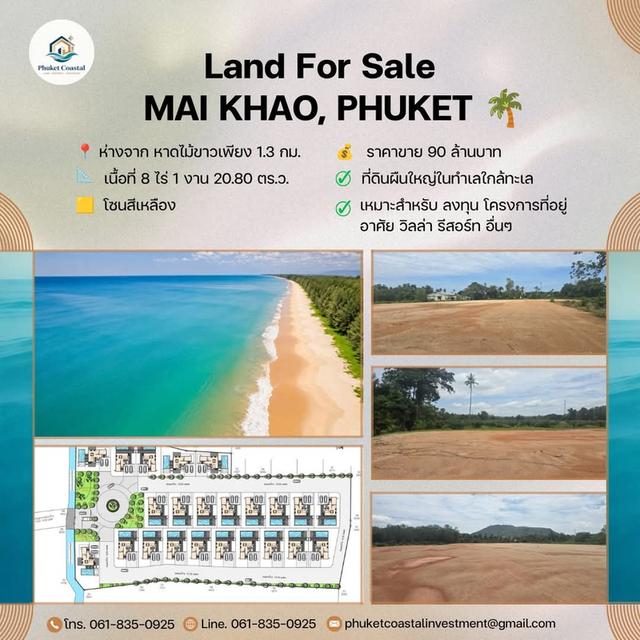 Prime land ideal for investment (ที่ดินสวยเหมาะแก่การลงทุน) 1