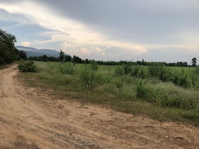 ที่วิวสวยมีไว้ไม่ผิดหวัง ขายที่ดินสวยติดภูเขา เทือกเขายาวเรียงแนว ดินดีสมบูรณ์ทรัพย์ในดิน ฟ้าใสวิวหลักล้าน ต.นาจาน อ.สีช
