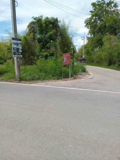 ขายที่ดินที่ดิน สันป่าตอง ใกล้หนองเสรียม อ.สันป่าตอง จ.เชียงใหม่ ติดถนนลาดยาง 2 ด้าน 5