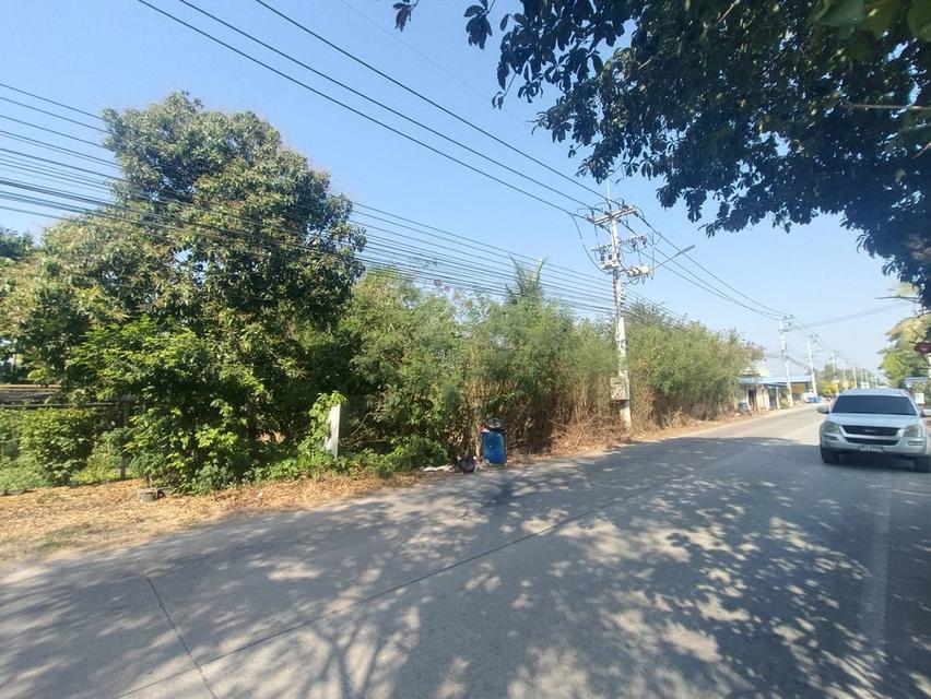 ขายที่ดิน 10 ไร่ ที่หน้าติดถนนคลอง6  รังสิต-ปทุมธานี 4
