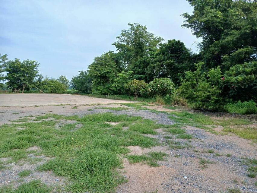 Land for sale good location  7