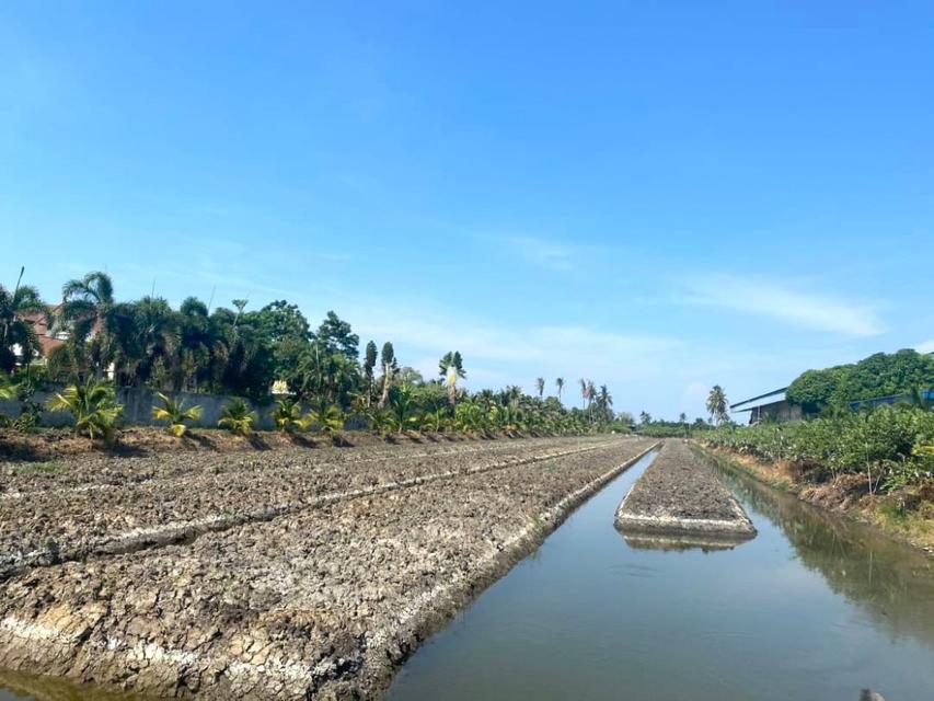 ขายที่ดินเปล่า 8 ไร่ 1 งาน 15 ตร.วา ติดถนนเส้น 375 นครปฐม - ดอนตูม 4